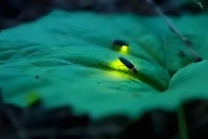 中医说：“心情愉悦是大补，情绪低落是大伤。所以啊，活得轻松一