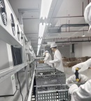 5090持续接单，有需要的老板欢迎询价，支持测试 ​ ​B2