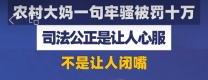 对于山东临沂农妇杨宝花因不满判决结果与法官发生言语冲突而被罚